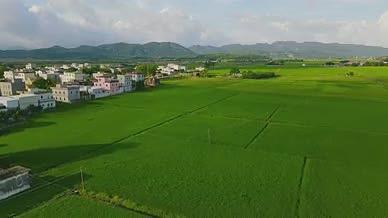 航拍新农村田野稻田生产视频的预览图
